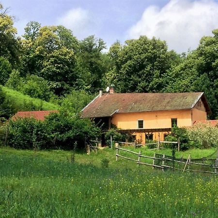 Le Mas De Planaise Saint-Jean-d'Avelanne Екстериор снимка